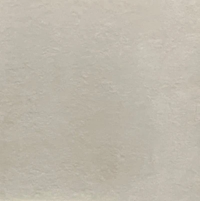 Danio Light Grey Mat 100 x 100